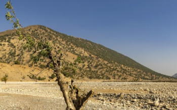 خشکسالی ایران شدیدتر شد 
