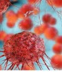 مکانیزم گسترش تومورهای سرطانی کشف شد